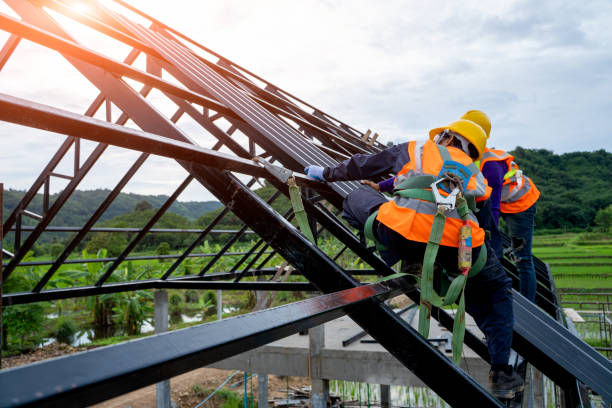 Best Roof Waterproofing Services  in Forest Heights, TX