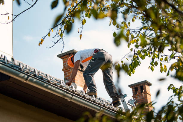 Best Residential Roofing Contractor  in Forest Heights, TX