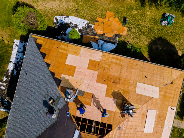 Best Roof Gutter Cleaning  in Forest Heights, TX