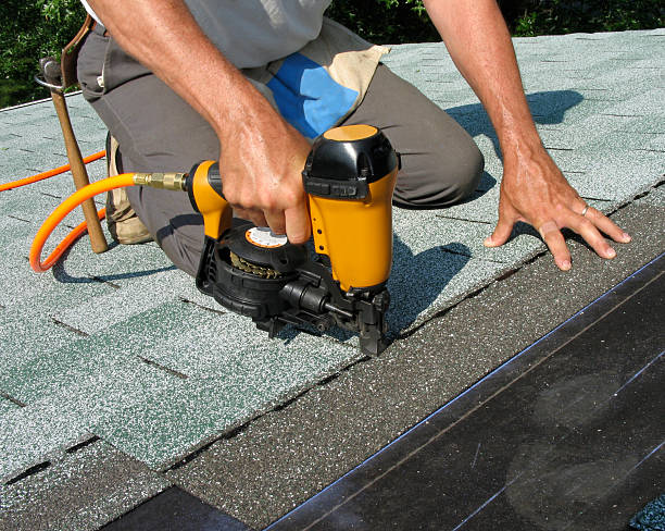 Best Roof Repair Services  in Forest Heights, TX