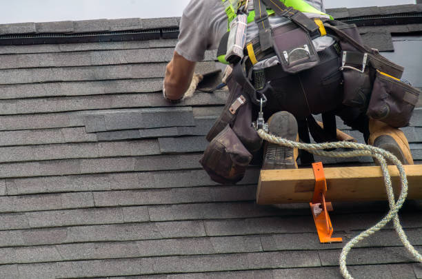 Best Storm Damage Roof Repair  in Forest Heights, TX