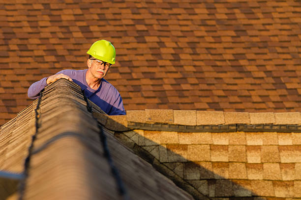 Best Roof Leak Repair  in Forest Heights, TX