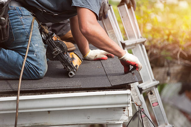 Best Roof Maintenance Services  in Forest Heights, TX