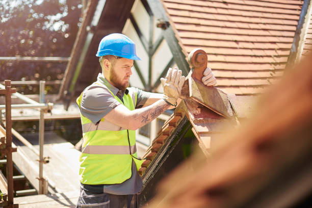 Best Roof Maintenance Services  in Forest Heights, TX