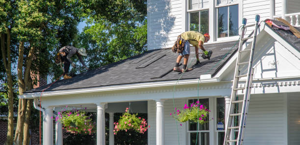 Best Commercial Roofing Services  in Forest Heights, TX