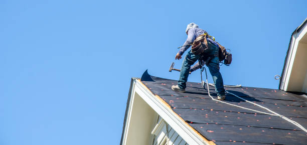Best Sealant for Roof  in Forest Heights, TX